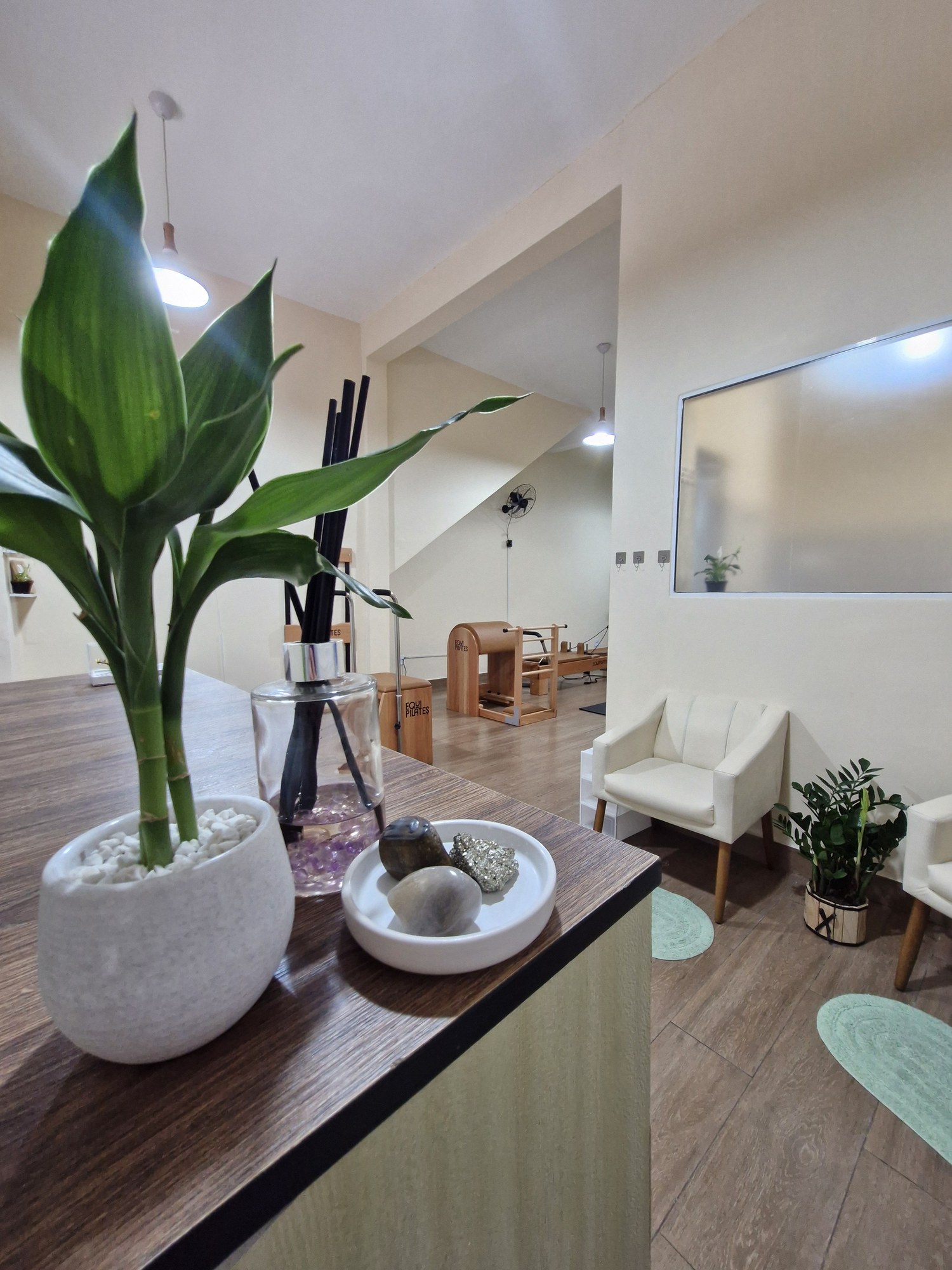 Ambiente do Studio Thaline Vianna — Pilates e Fisioterapia